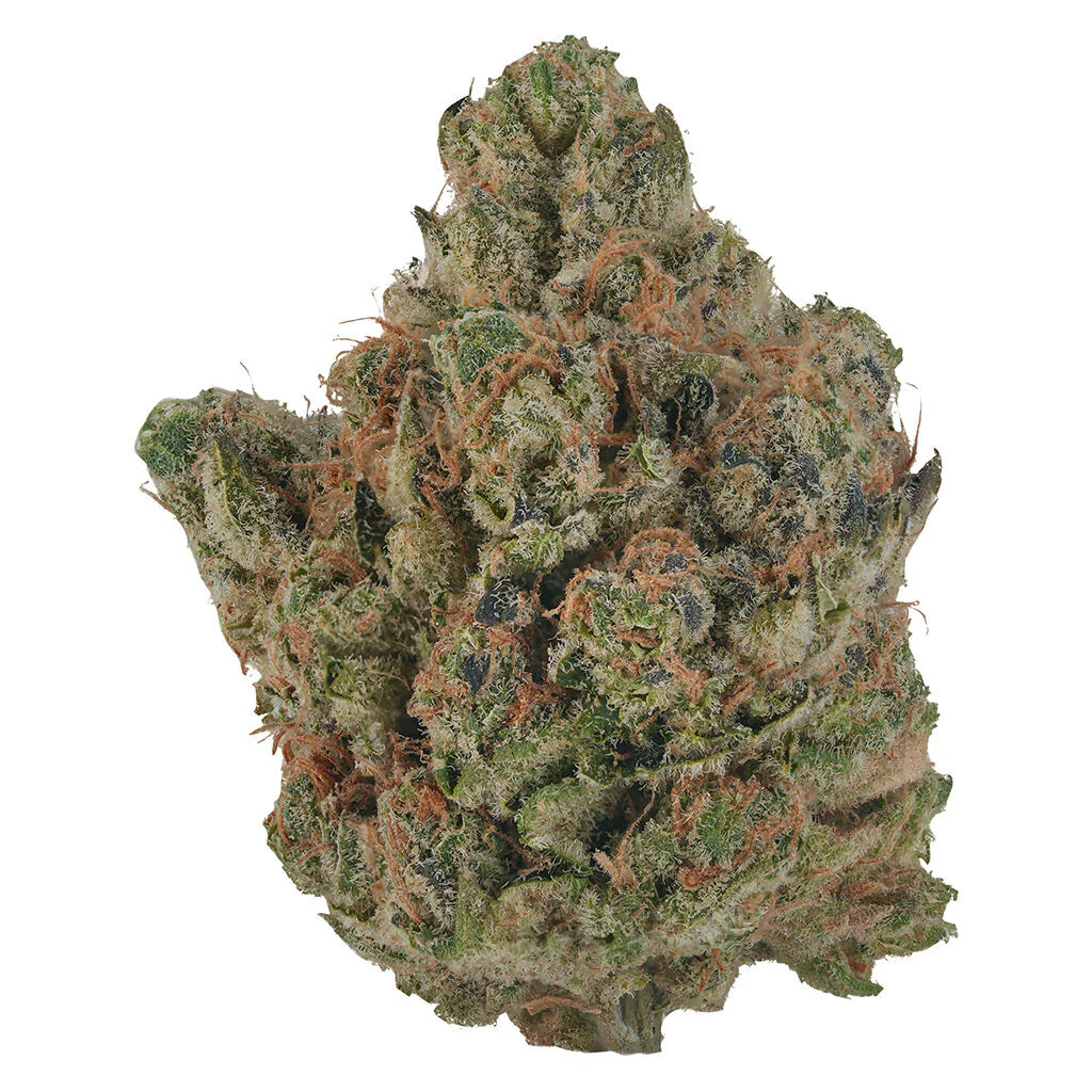 Orange Turpentine