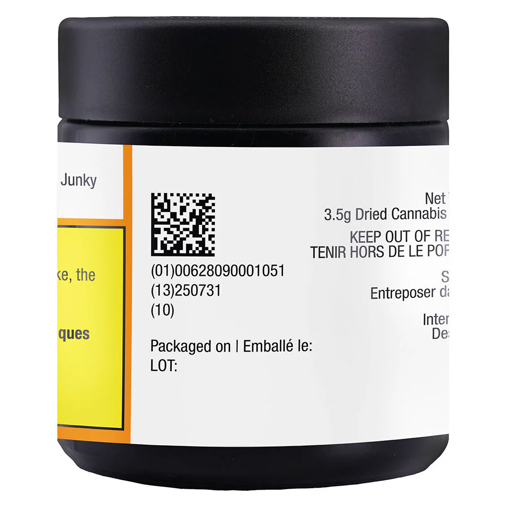 Orange Turpentine - Image 6