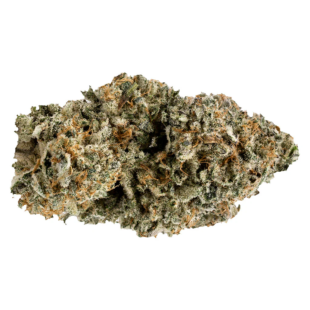 Orange Turpentine - Image 3
