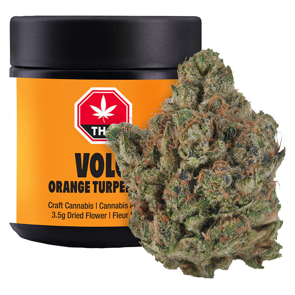 Orange Turpentine - Image 7