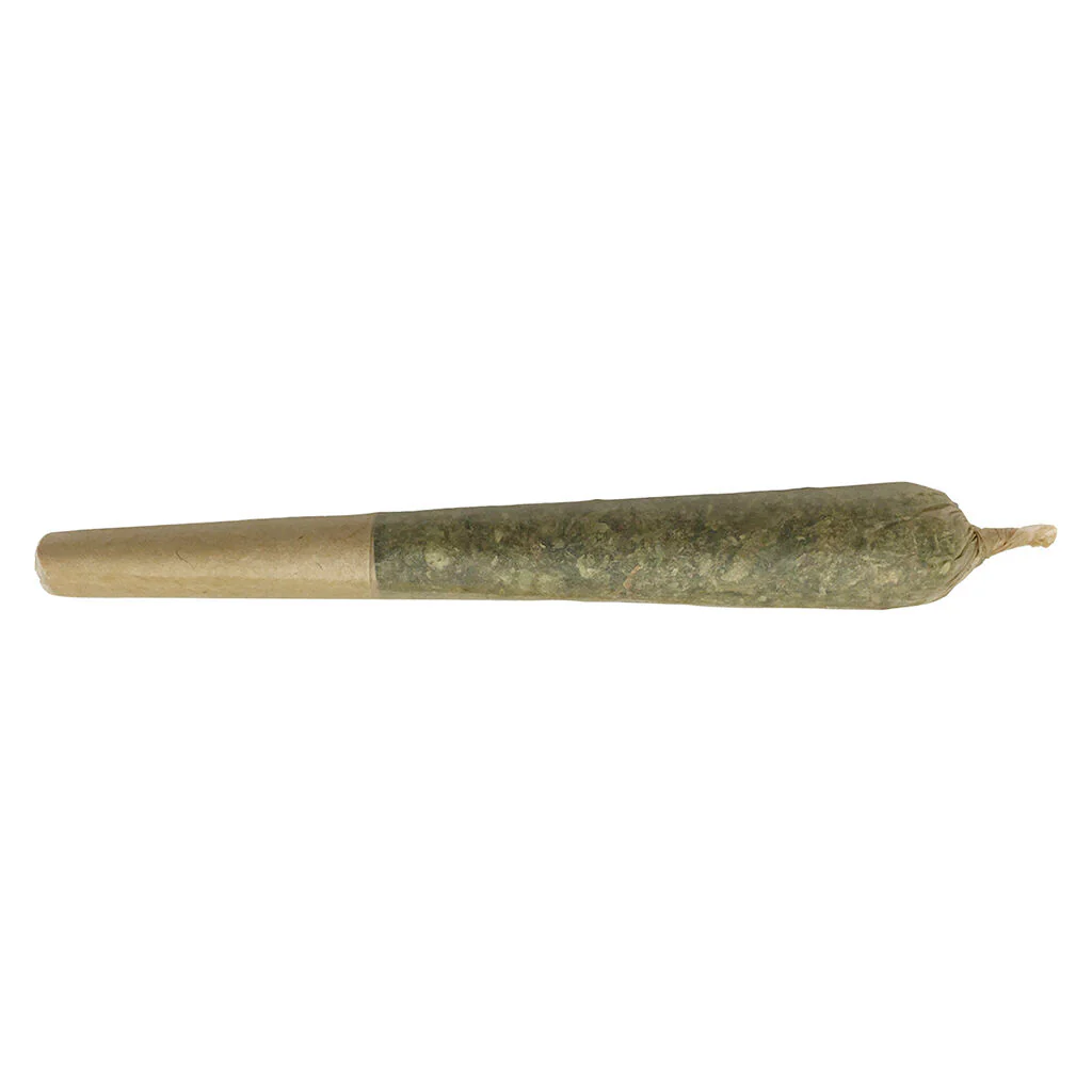 Oreoz X Orange Punch Pre-Roll