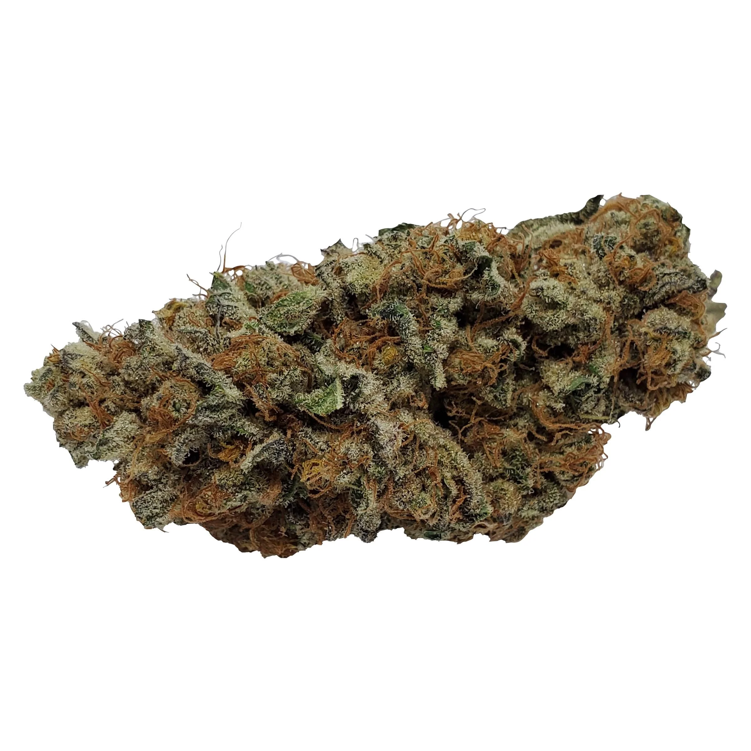 Pedro's Prima Sativa