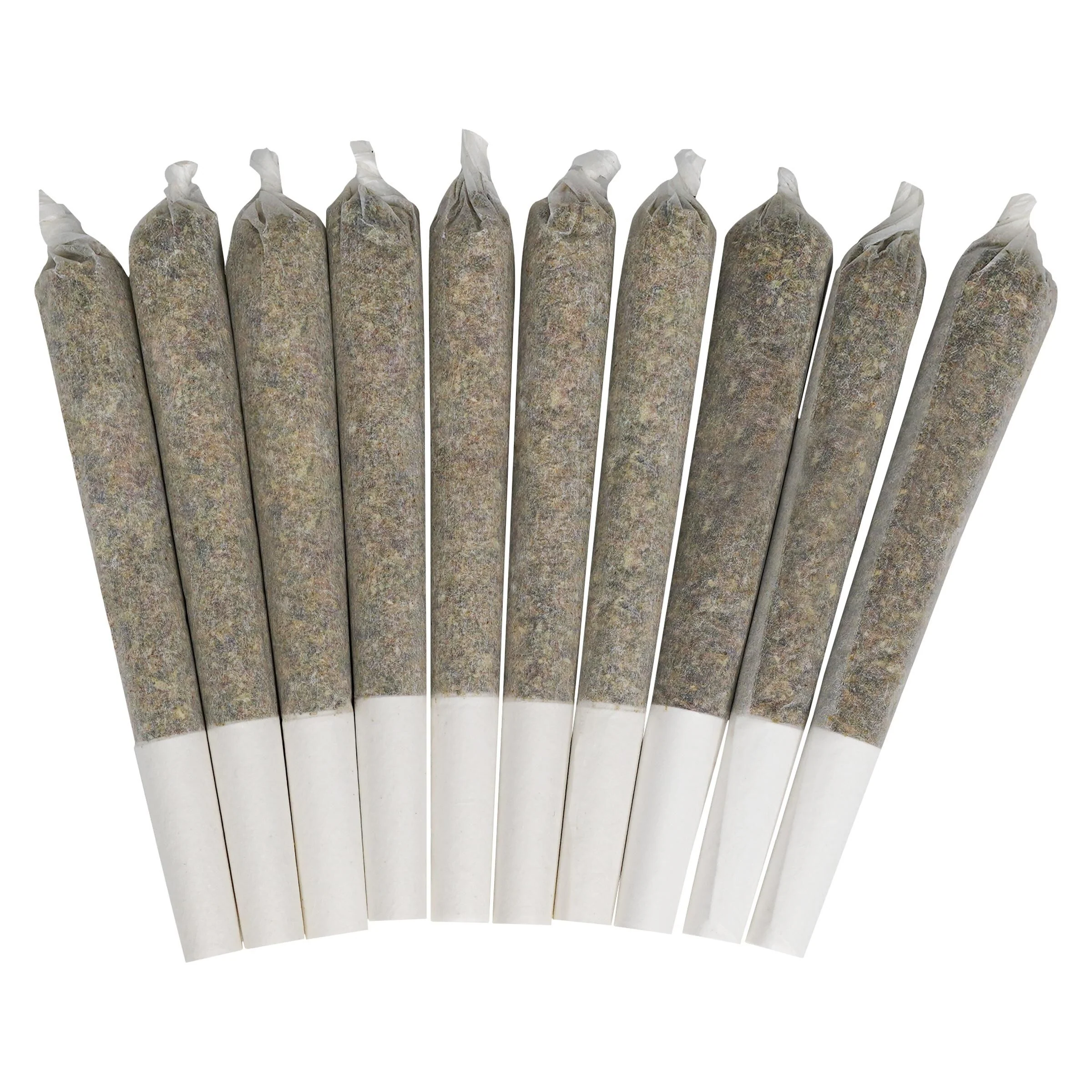 Préroulés Pedro’s Prima Sativa