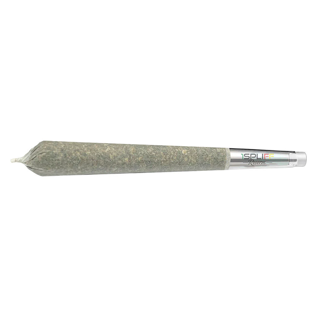 PineappleX Premium Glass Tip Pre-Roll - Image 3