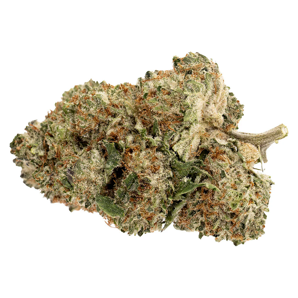 Pink Rhino