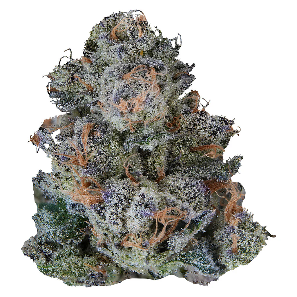 Platinum Lemon Cherry Gelato
