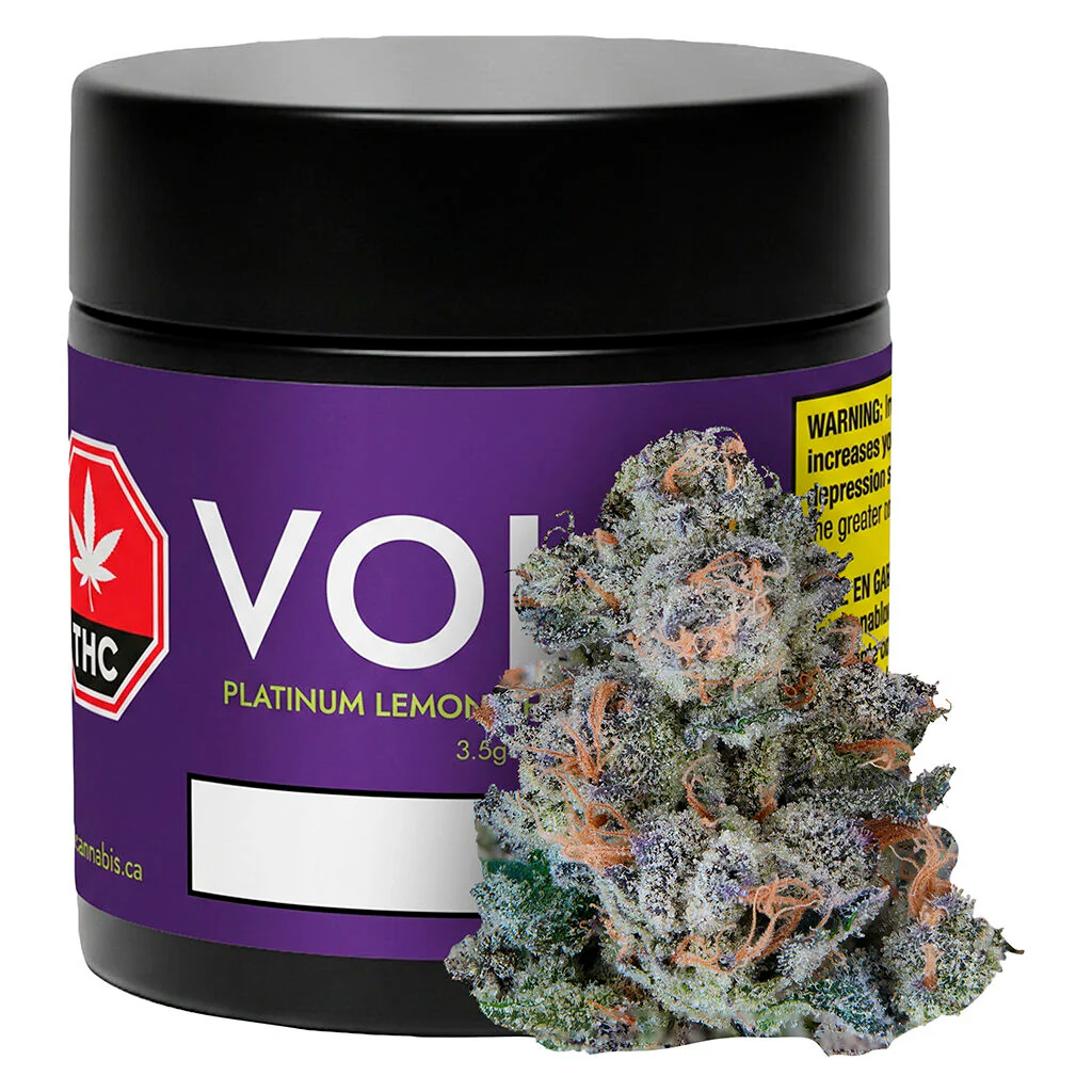 Platinum Lemon Cherry Gelato - Image 4