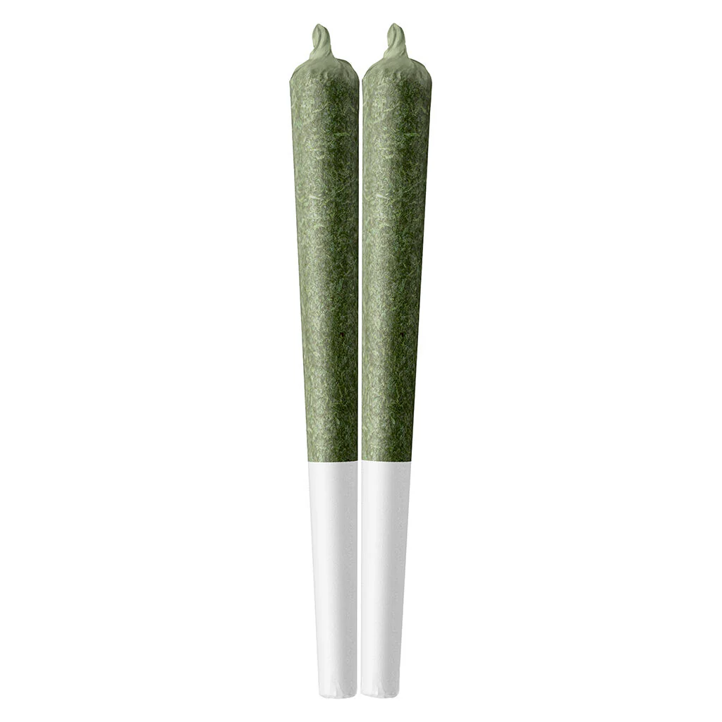Préroulé (Indica)