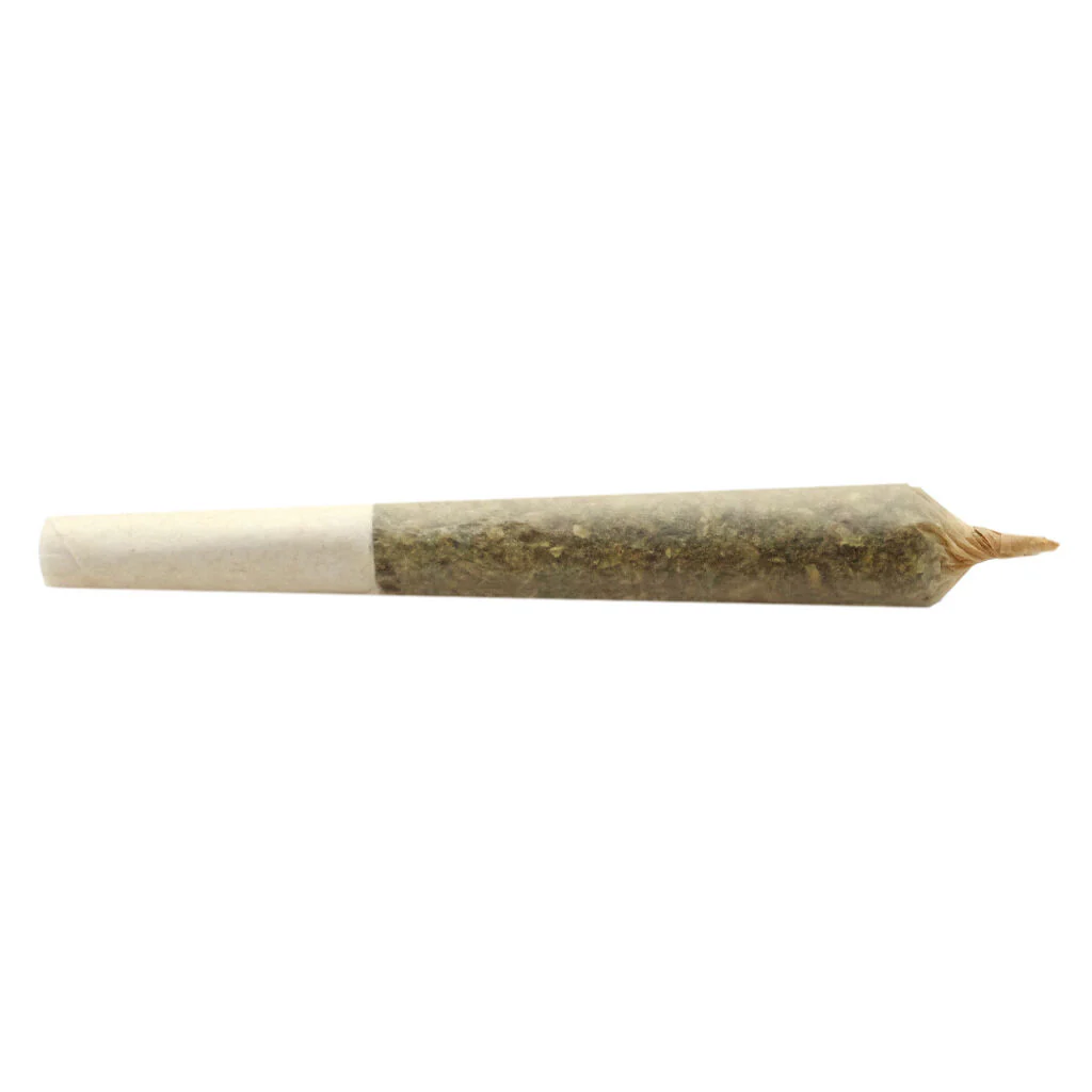 Préroulé Big Buddy Indica