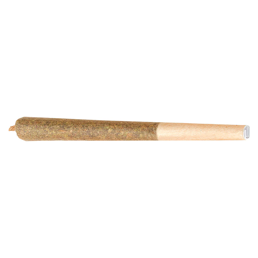 Préroulé Citroli - Image 3