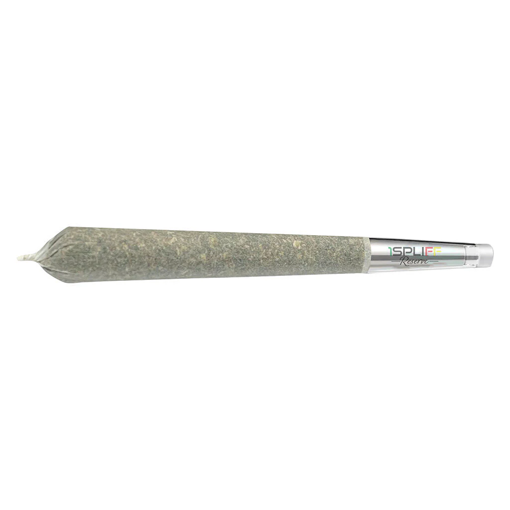 Préroulé Hawaiian Snowcone Premium Glass Tip - Image 3