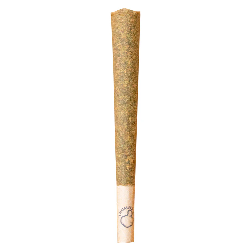 Préroulé Indica - Image 11