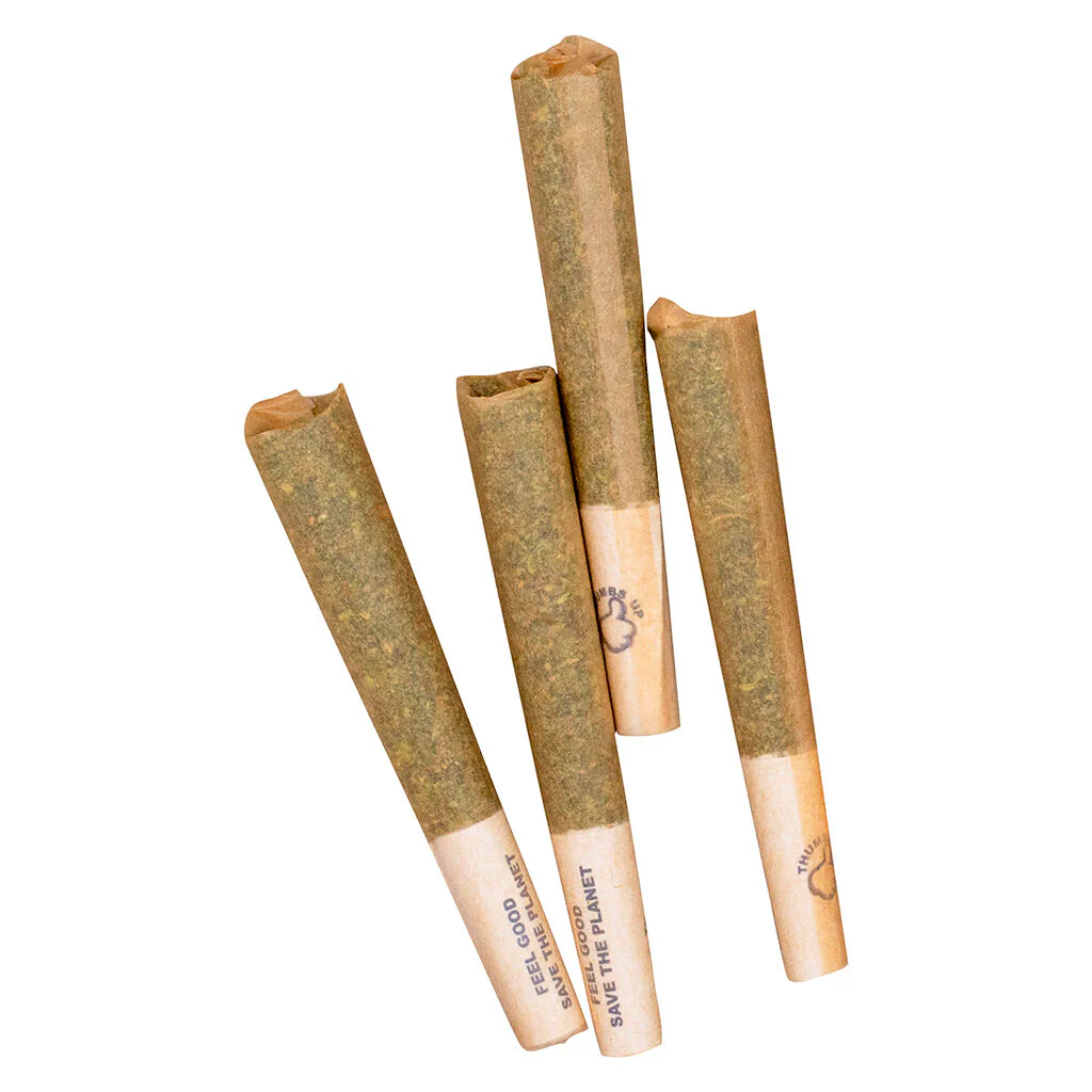 Préroulé Indica - Image 6