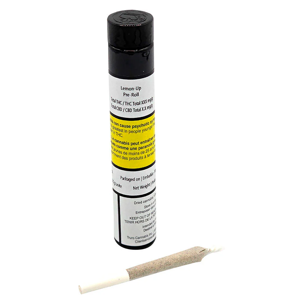 Préroulé Lemon-Up - Image 4
