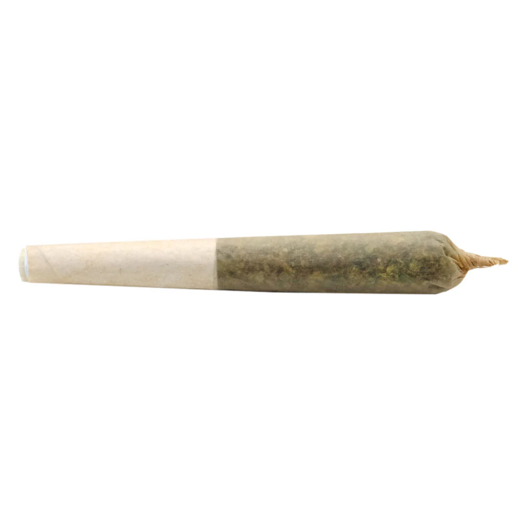 Préroulé lil Buddy Indica