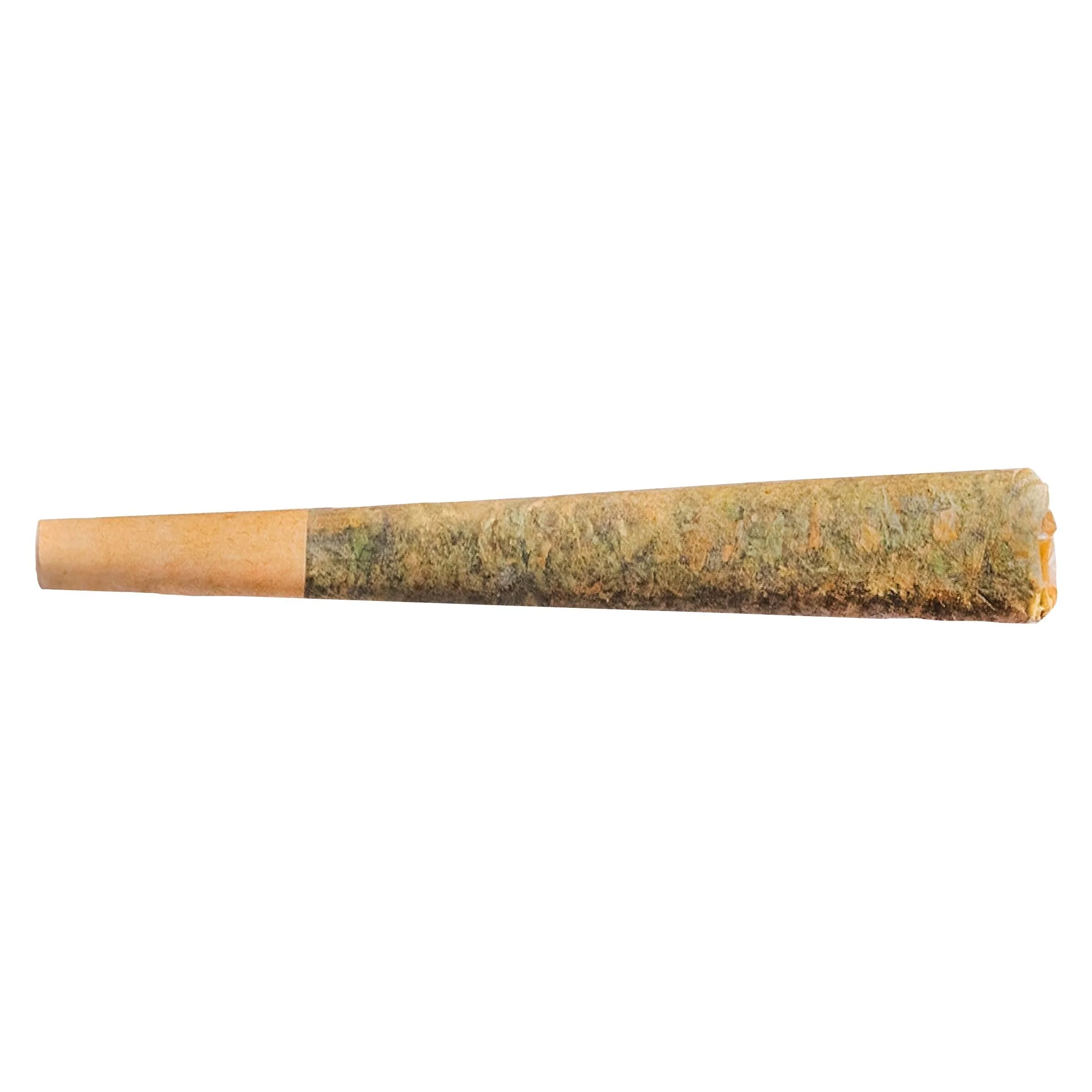 Préroulé Night Rider Indica - Image 3