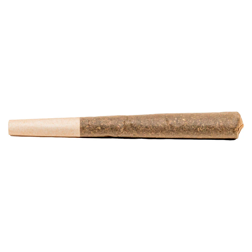 Préroulé Roll Up Sativa