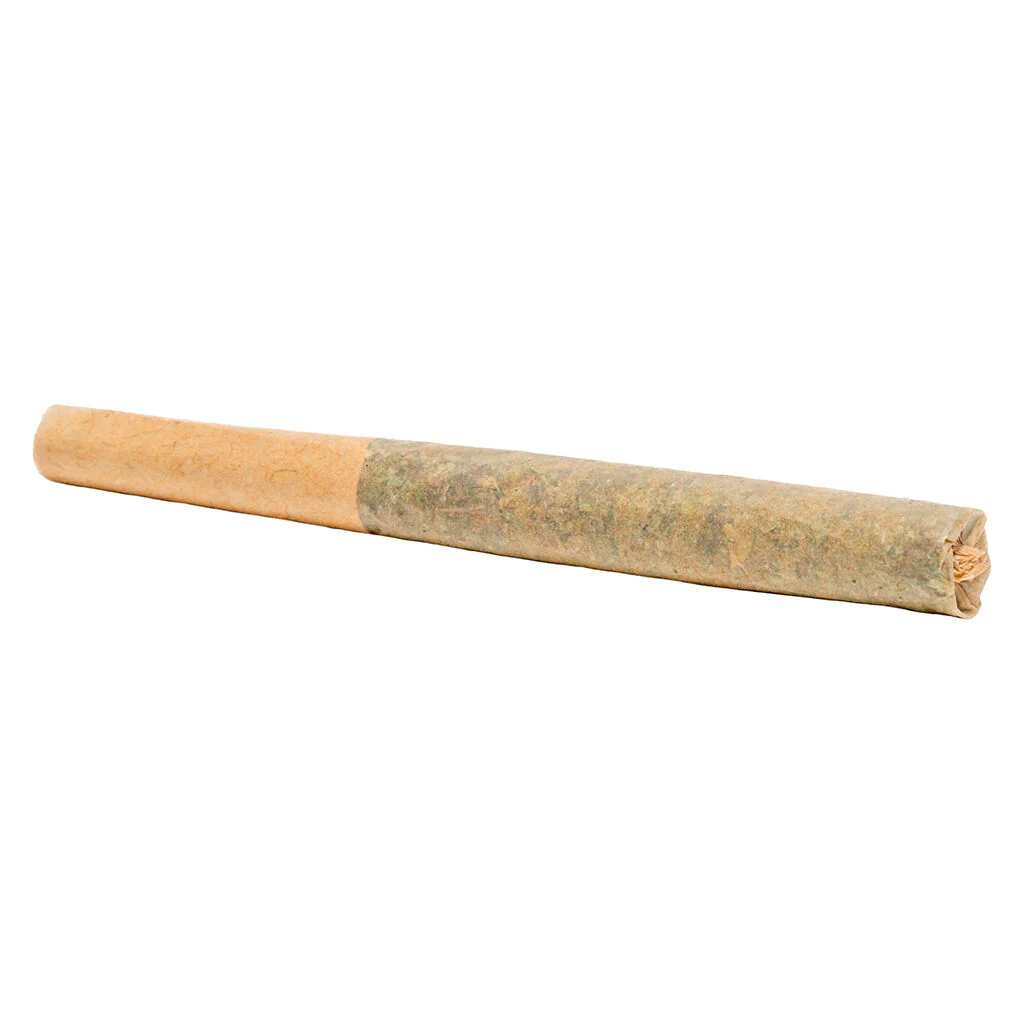 Préroulé Roll Up Sativa - Image 3