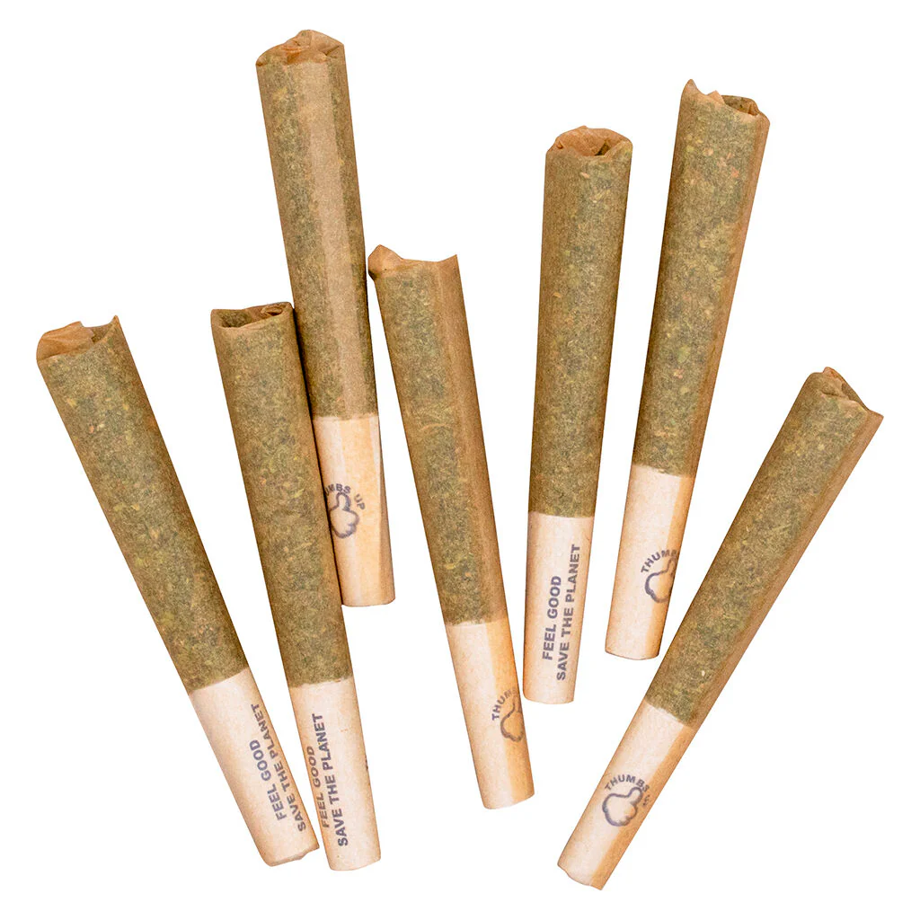 Préroulé Sativa