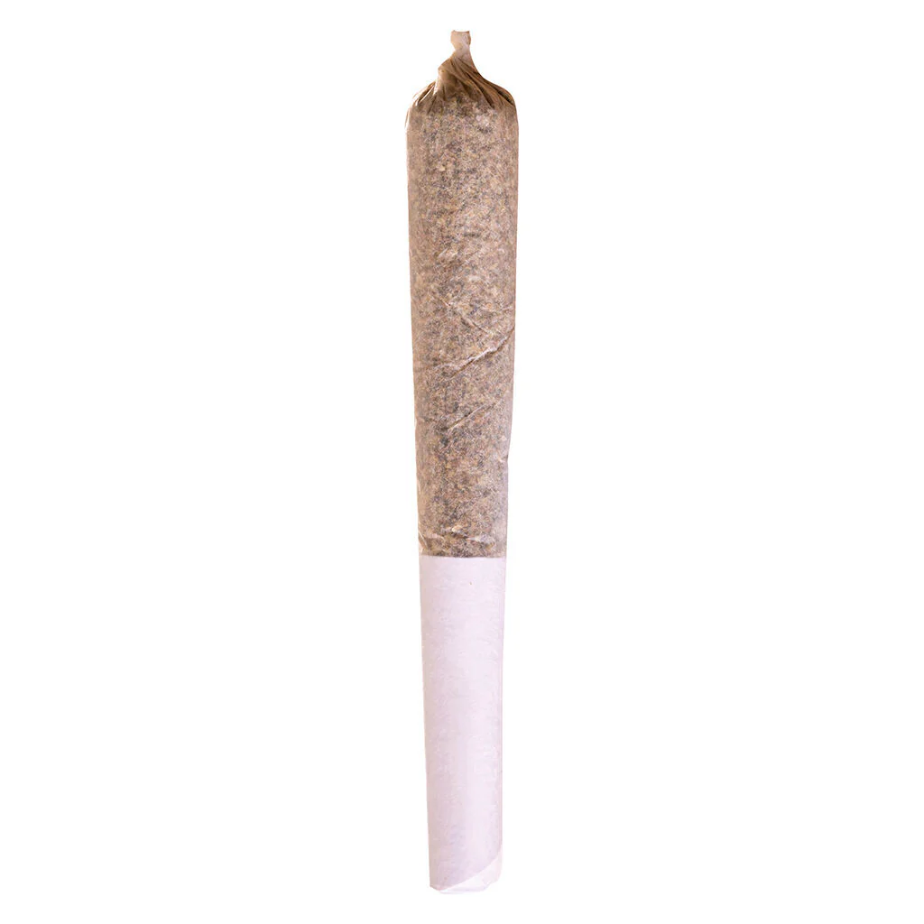 Préroulé Sensi Star - Image 3