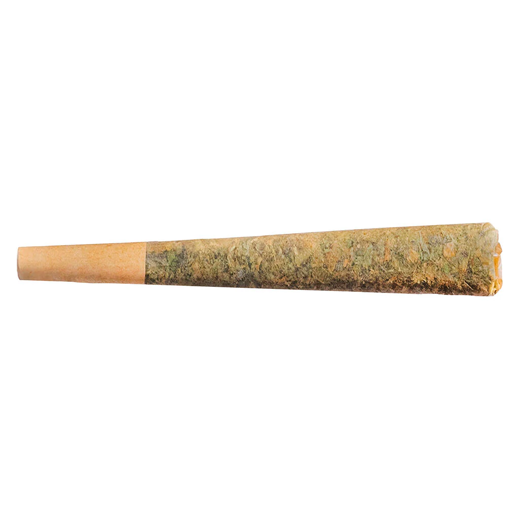 Préroulé Sunny Daze Sativa - Image 3