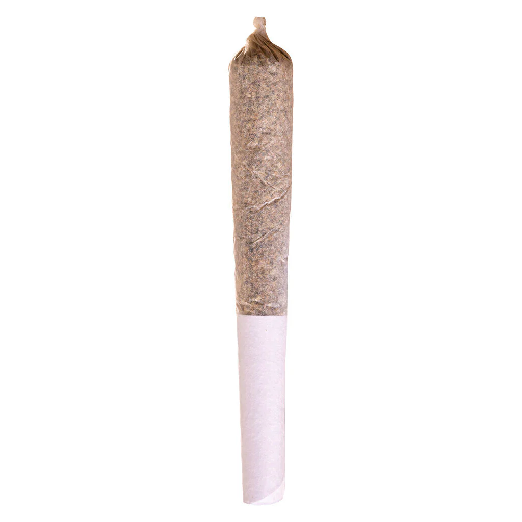 PrérouléFrosted Cherry - Image 3