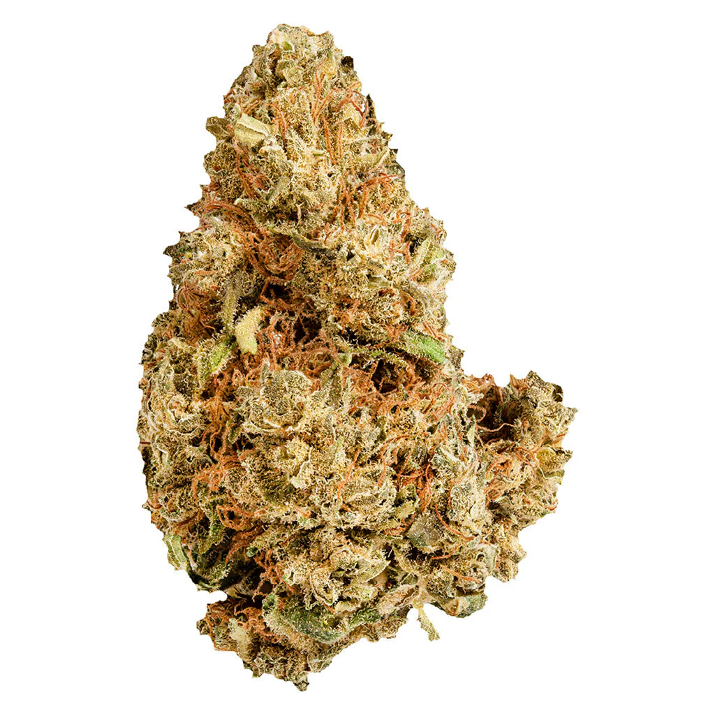 Purple Afghani - Image 3