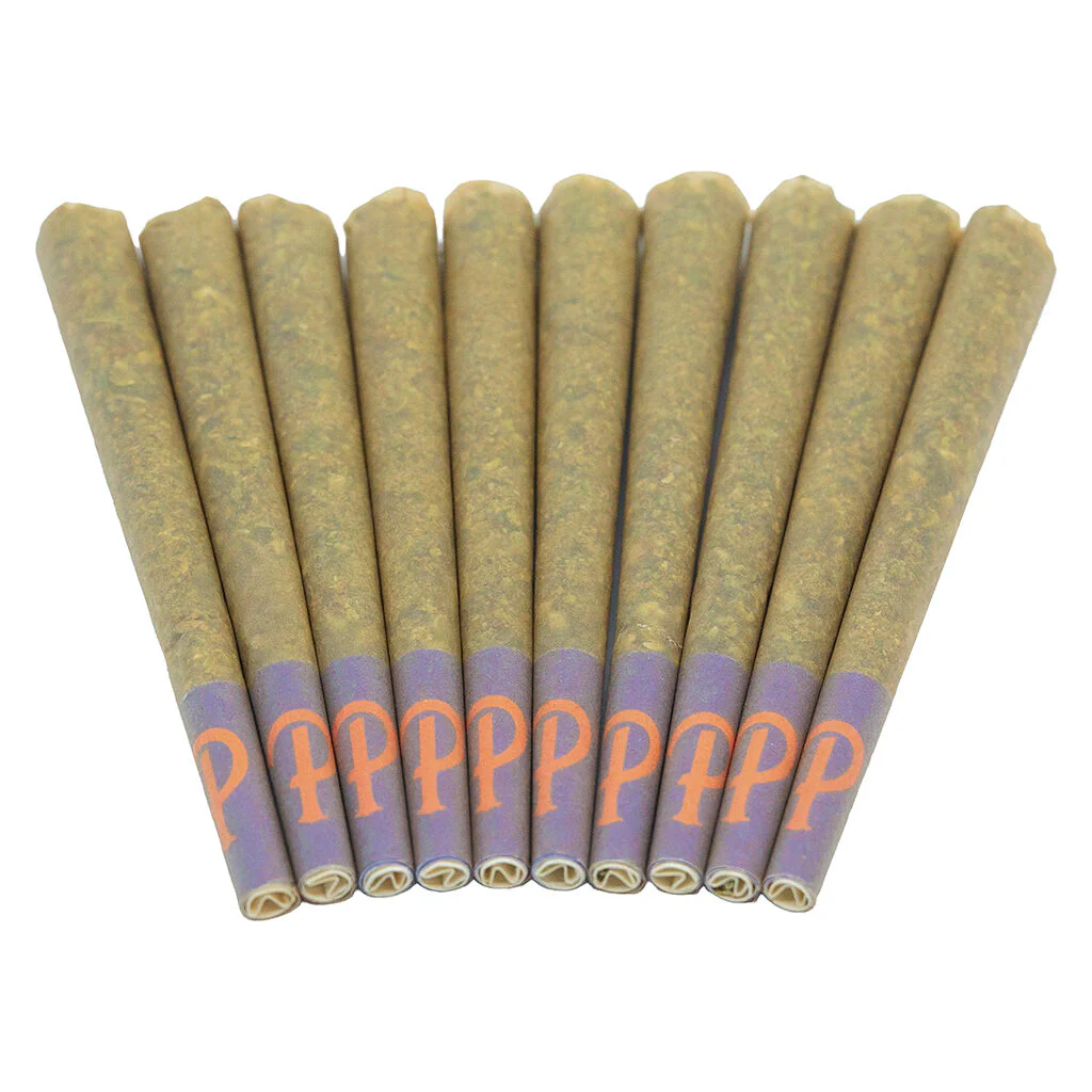 Préroulé Purple Oreoz