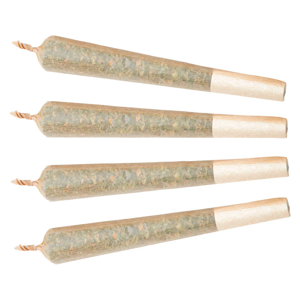 PRÉROULÉ QUICK RIPS SATIVA