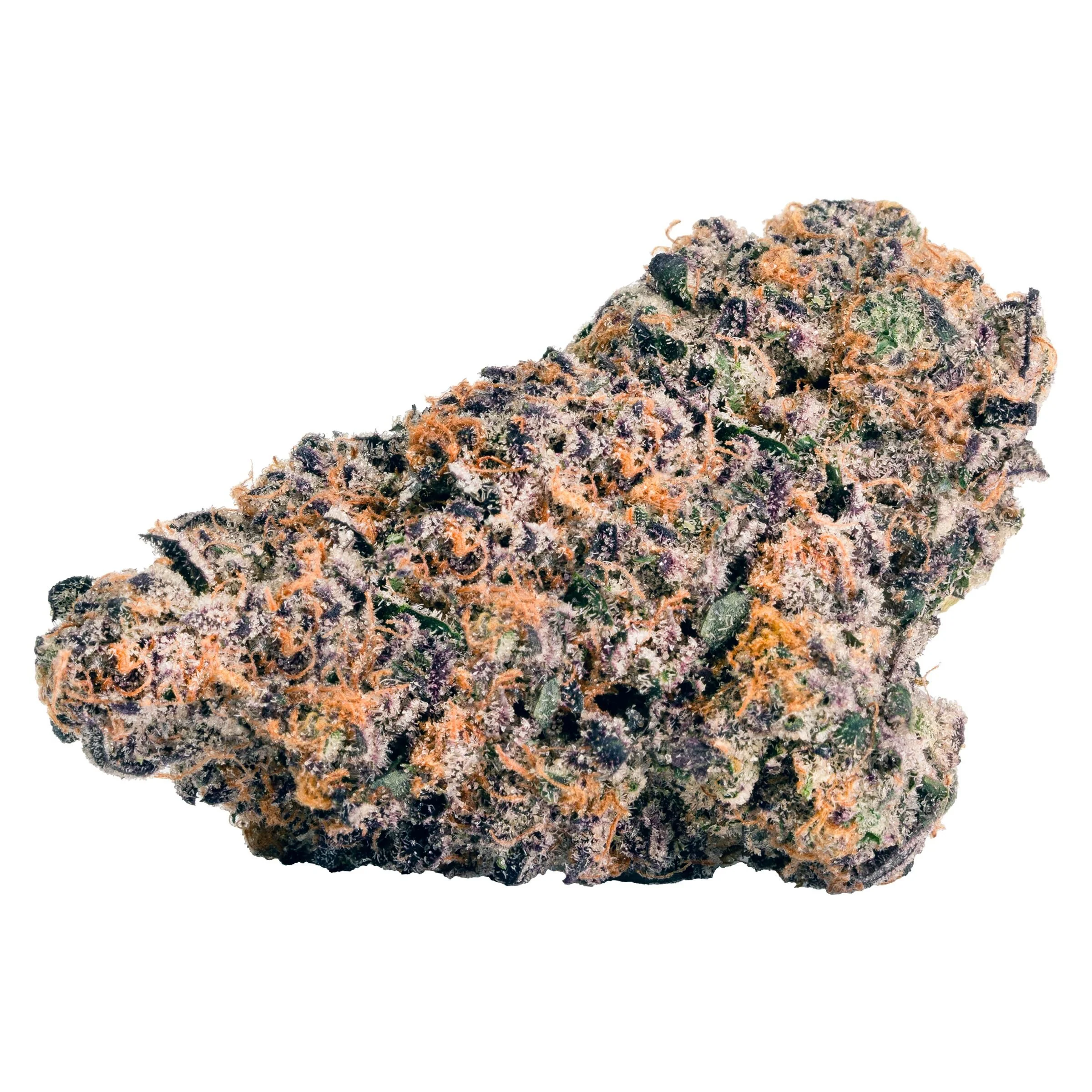 Rainbow P - Image 3