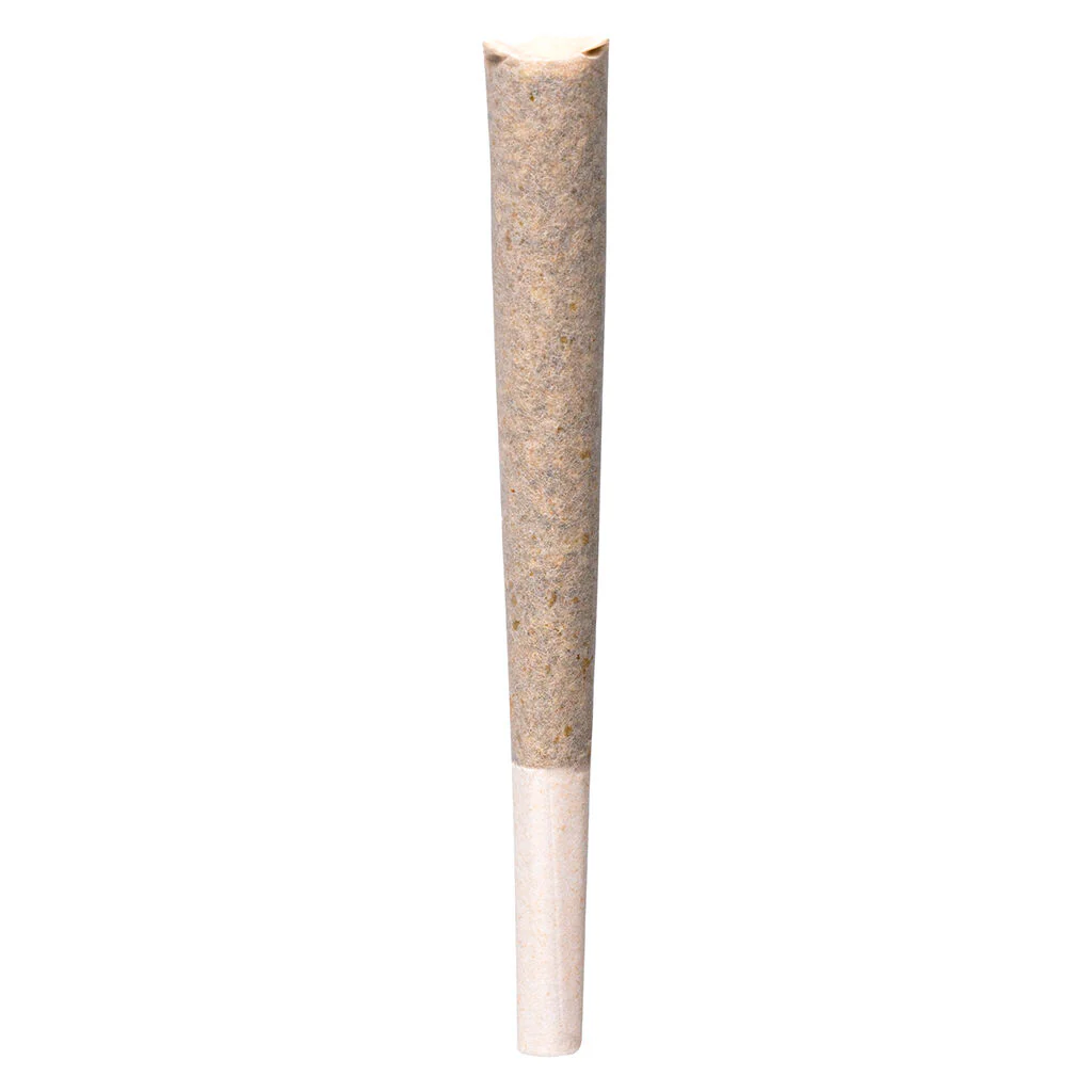Rainbow P Pre-Roll - Image 3