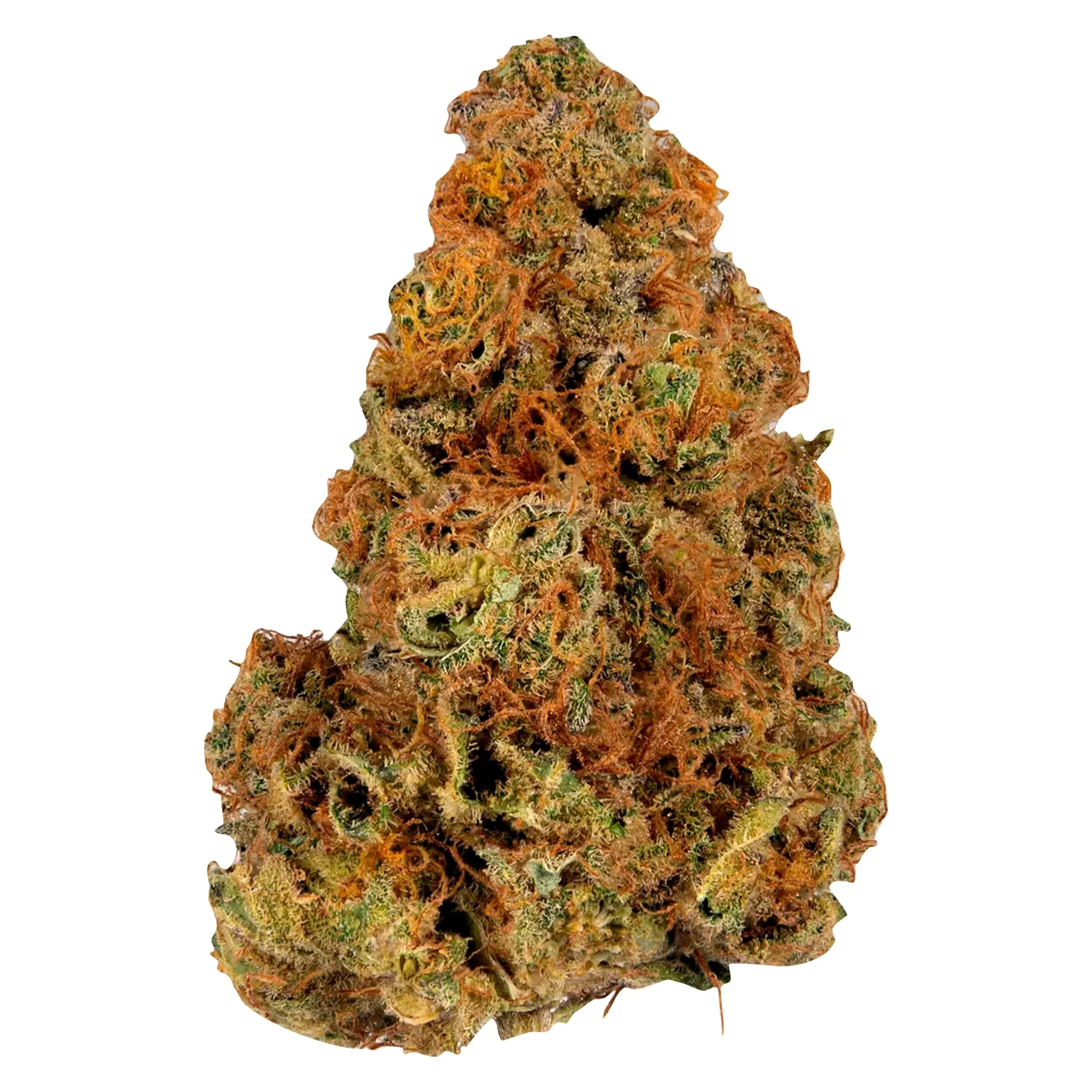 Ripped Indica - Image 5