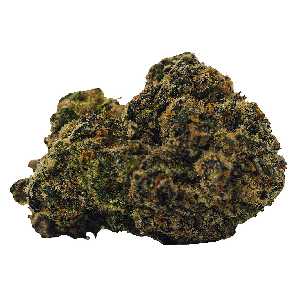 Rocket Fuel - Image 3