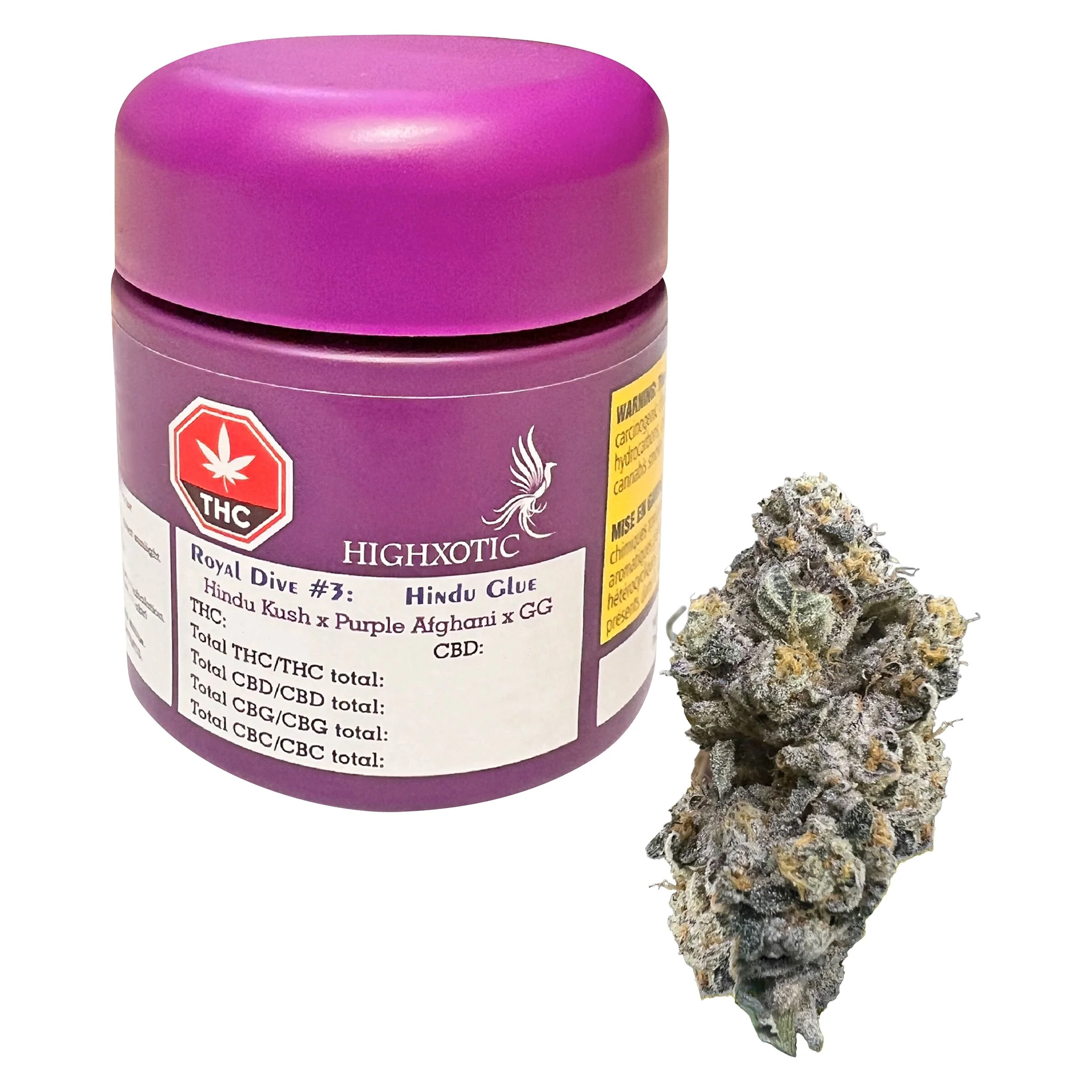 Royal Dive#3: Hindu Glue - Image 4
