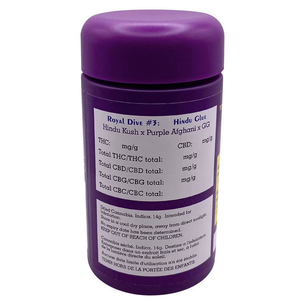 Royal Dive#3: Hindu Glue - Image 7