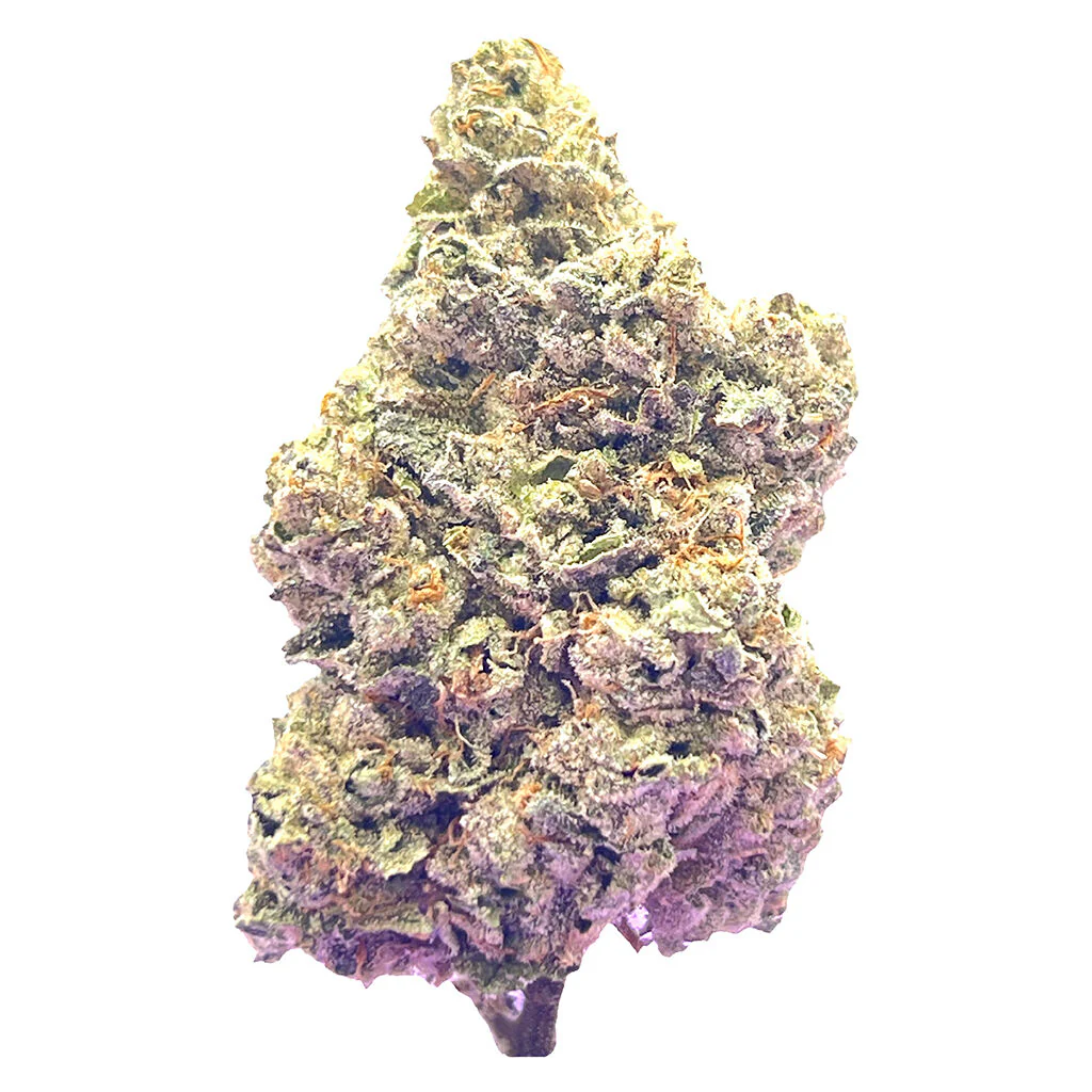 Royal Dive #7: Scarface OG - Image 3