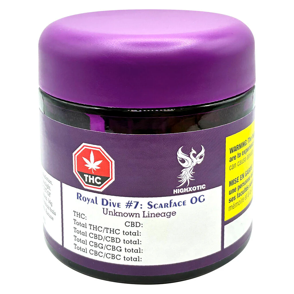 Royal Dive #7: Scarface OG - Image 5