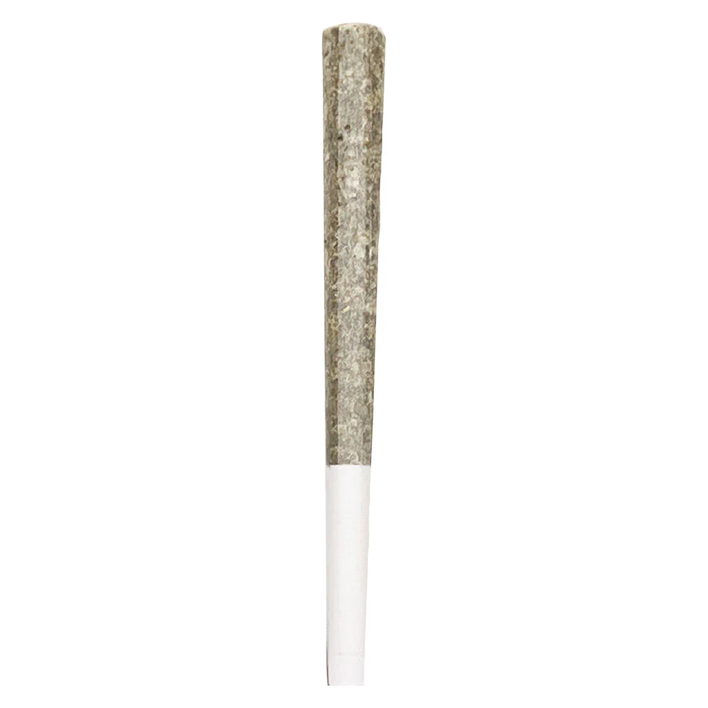 Royal One - Vault Series Pre-Roll