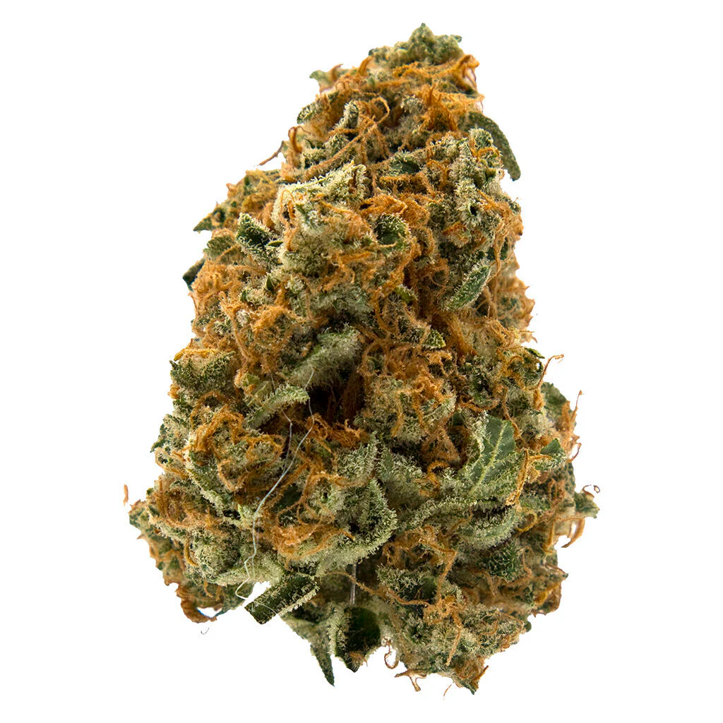 Sage n' Sour - Image 3