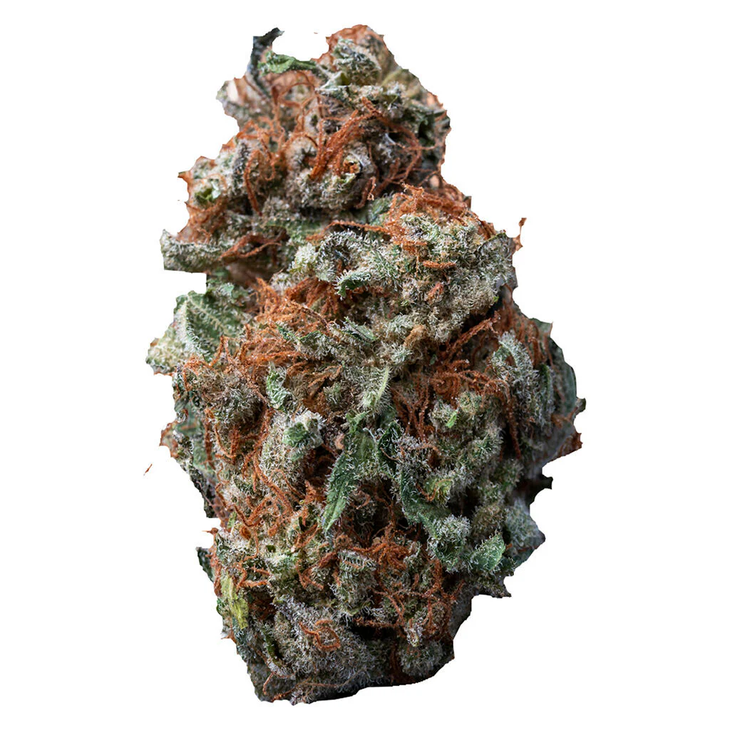 Sasquatch Sap - Image 3