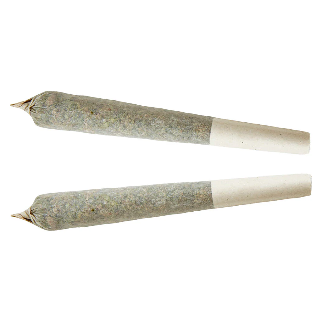 Préroulé Sativa
