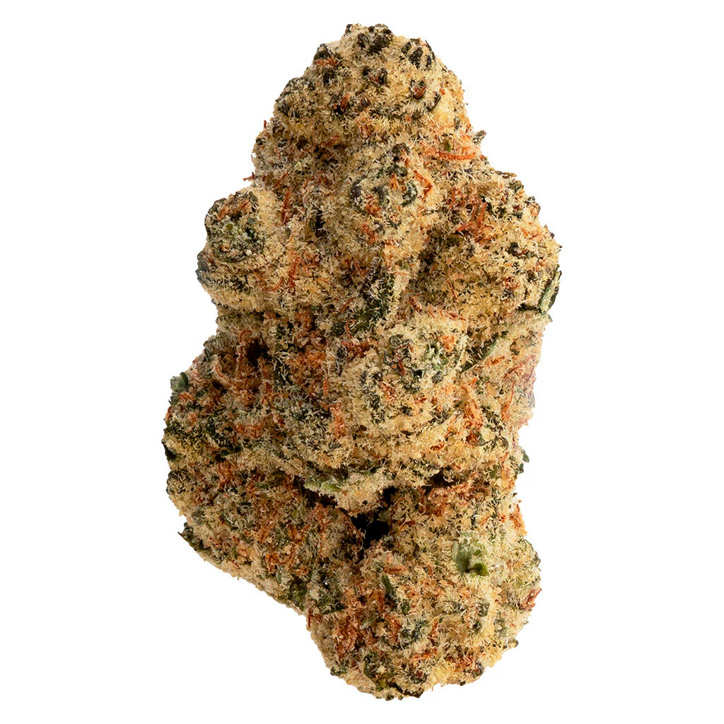 # Secret Stash - Image 3
