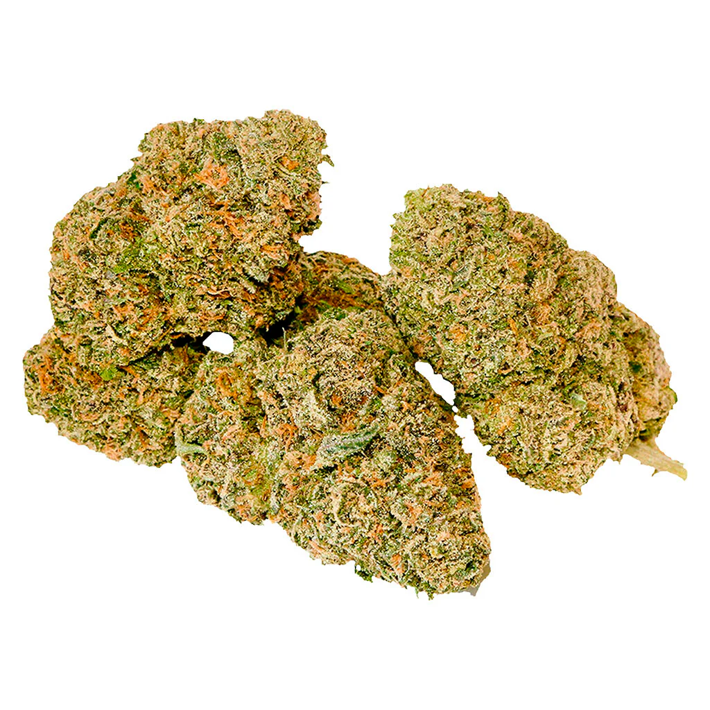 Fleur SESH - Image 3