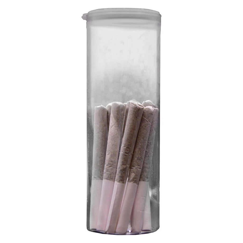 SESH PR - Image 6