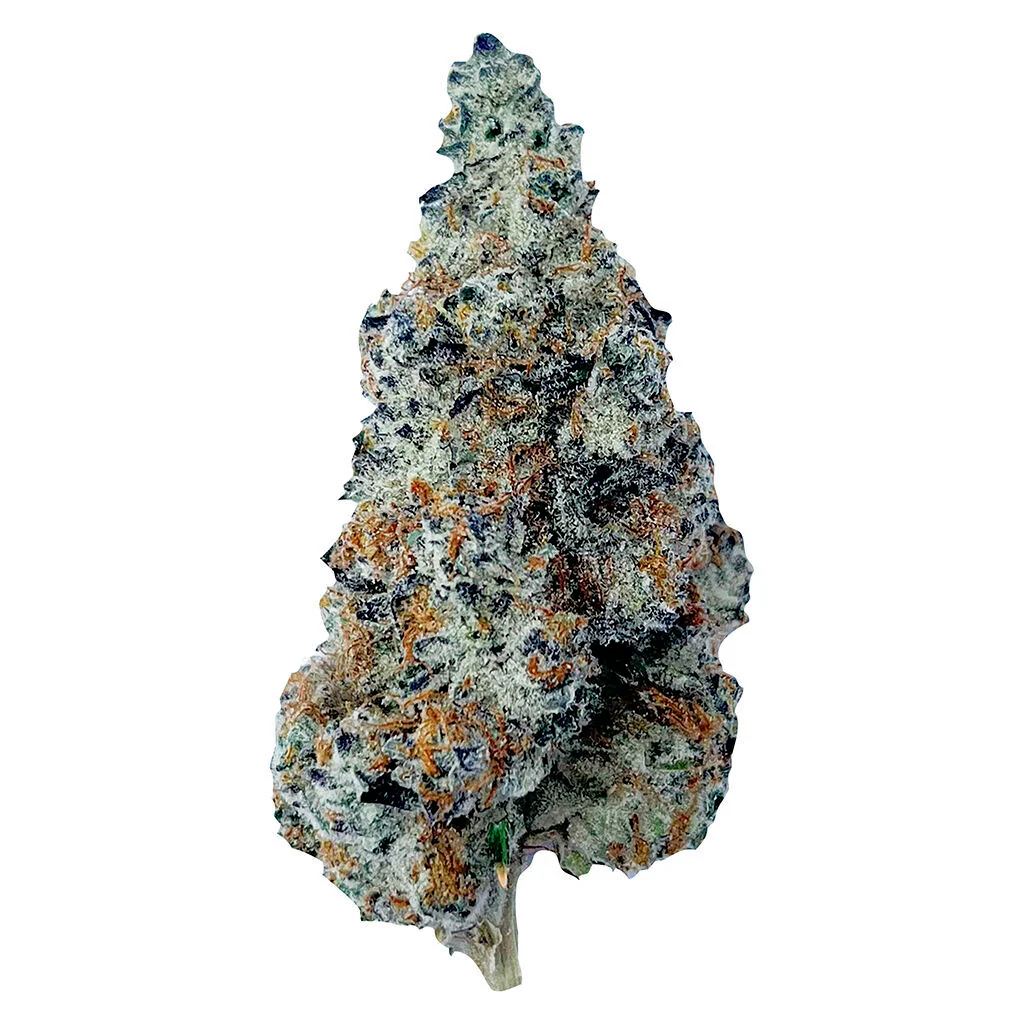 Slurriboof Whole Flower