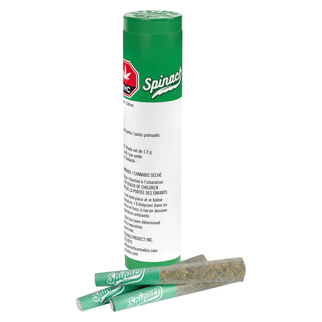 Préroulé Sour Chem - Image 5
