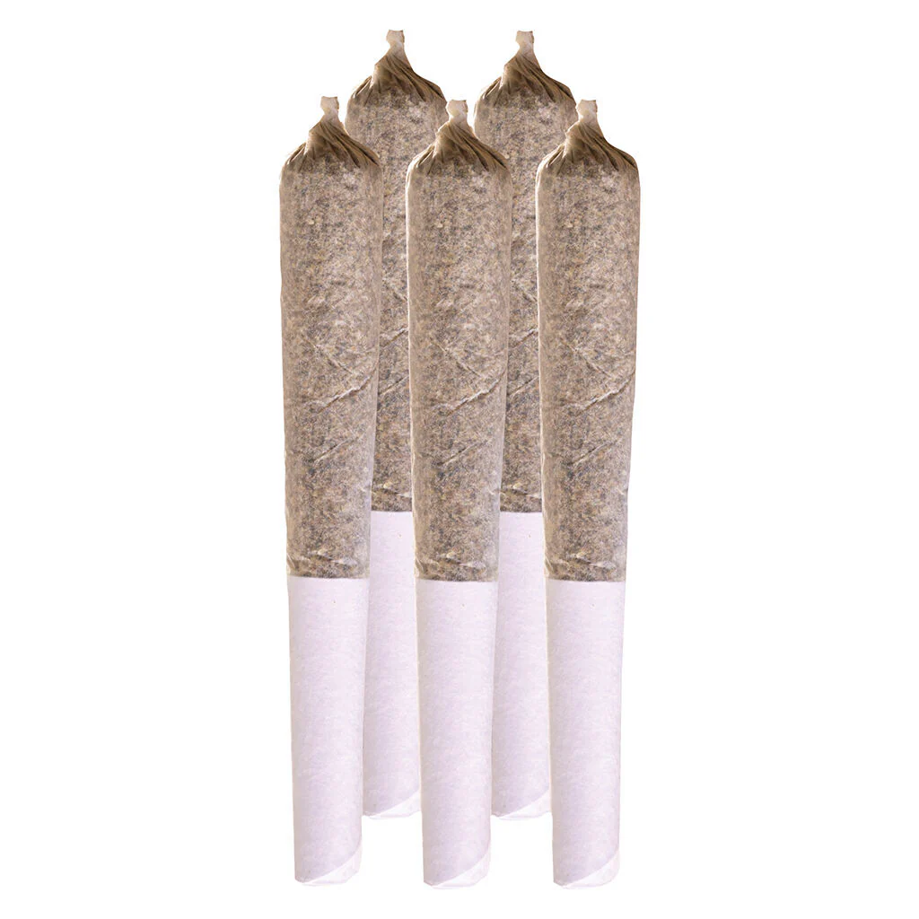 Préroulé Sour Diesel