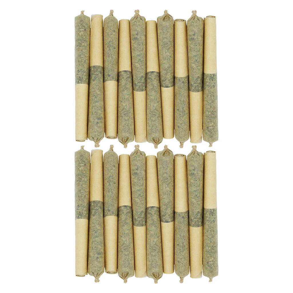 Star Chase Pre-Roll