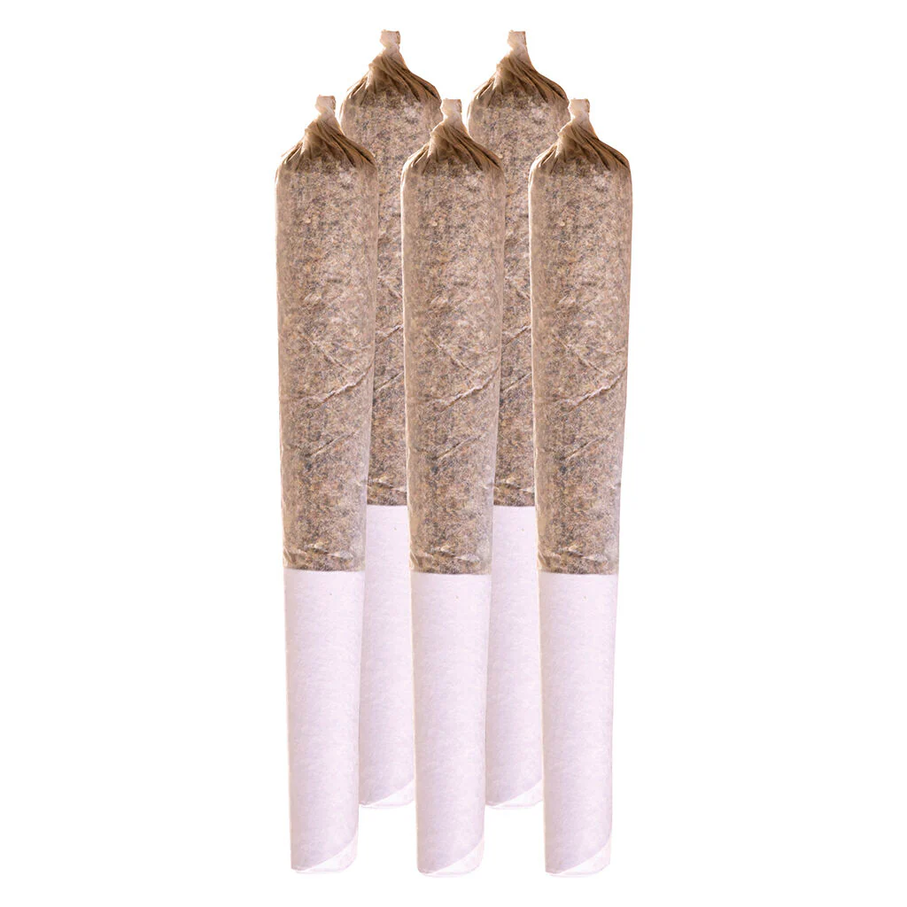 Station House Amnesia Haze Single Pré-Roll