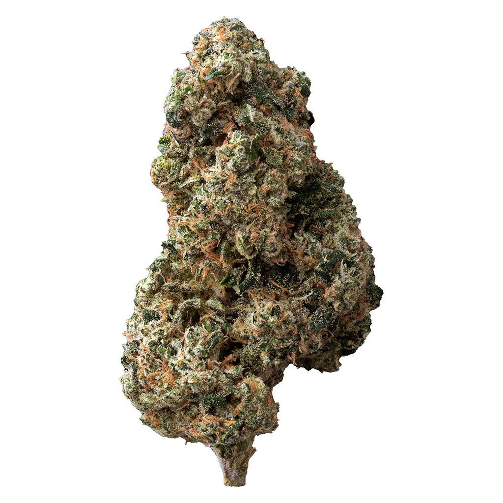 Sticky Bunz - Image 5
